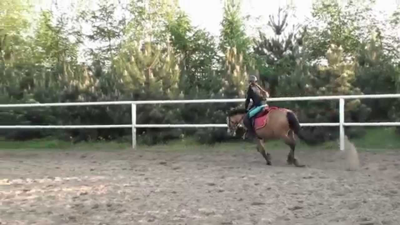 Cwał Kotowo TURBO  Buła