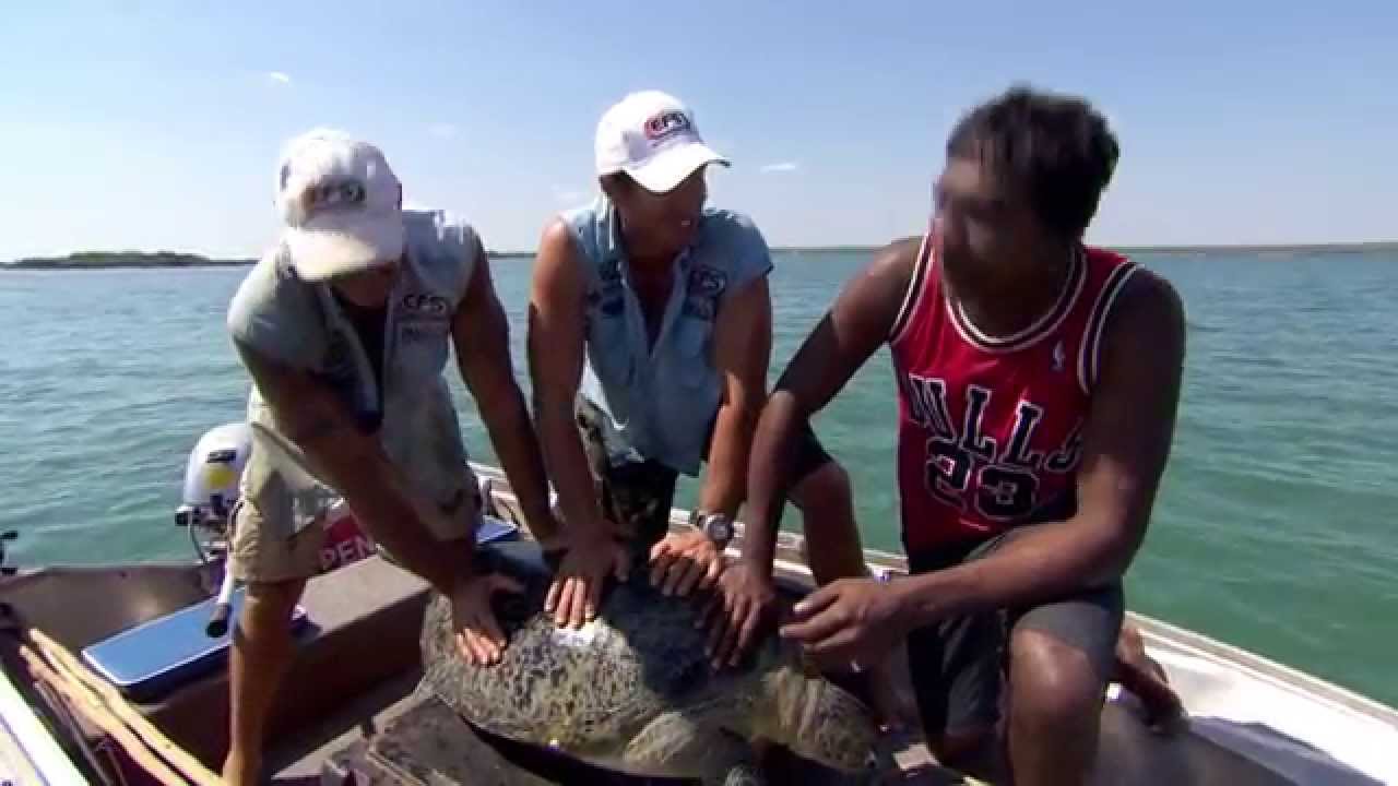 Spearfishing and sea turtles ► All 4 Adventure TV