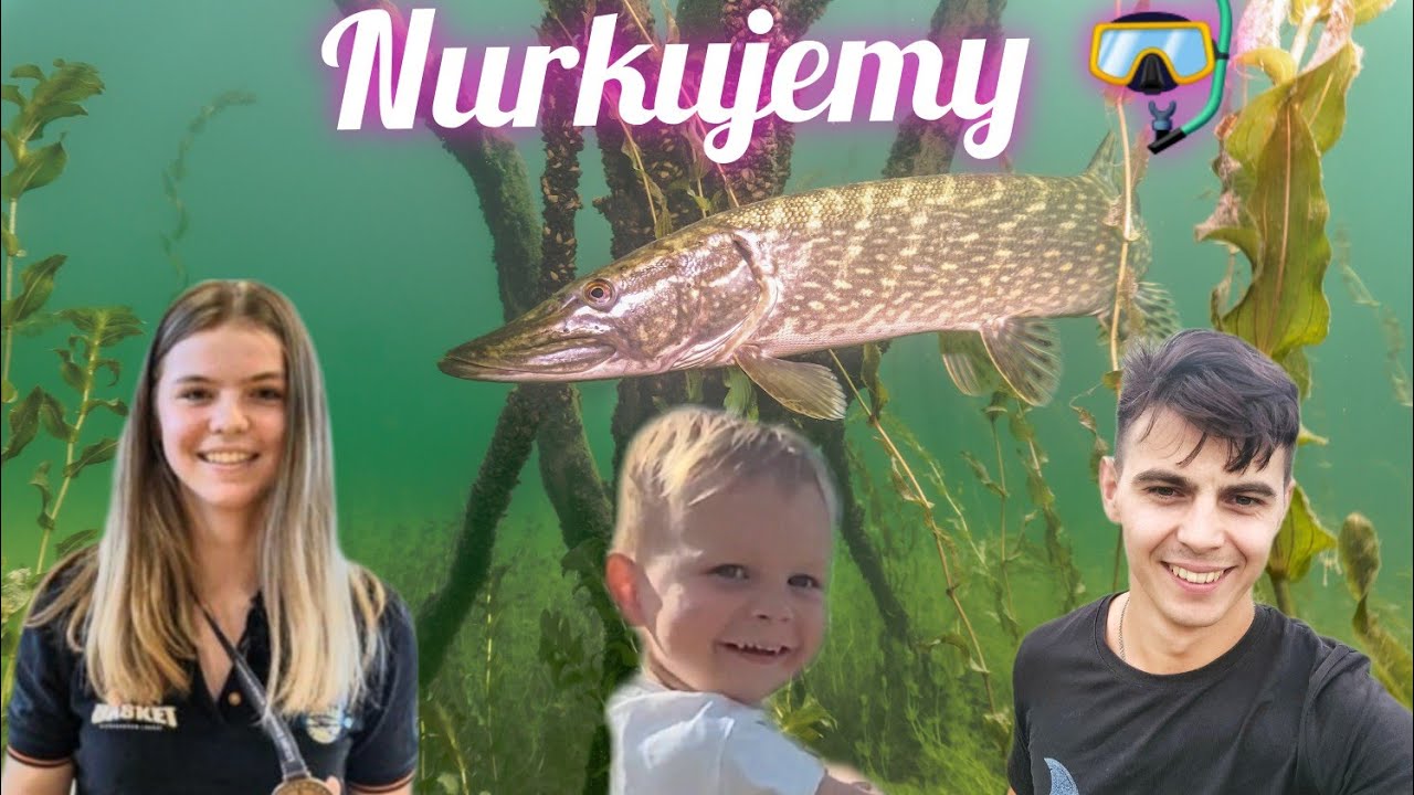 Nurkowanie w Bazie Nurkowej Honoratka - Zalany Las