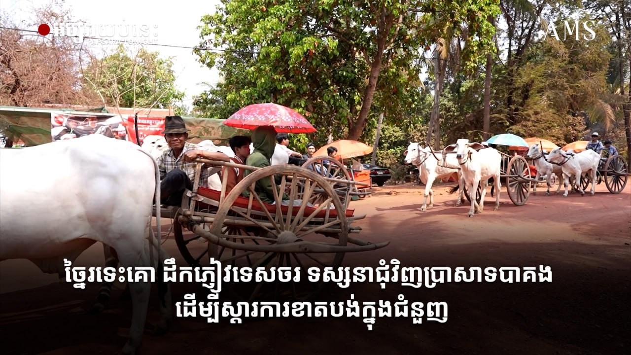 ច្នៃរទេះគោ ដឹកភ្ញៀវទេសចរ ទស្សនាជុំវិញប្រាសាទបាគង ដើម្បីស្តារការខាតបង់ក្នុងជំនួញ