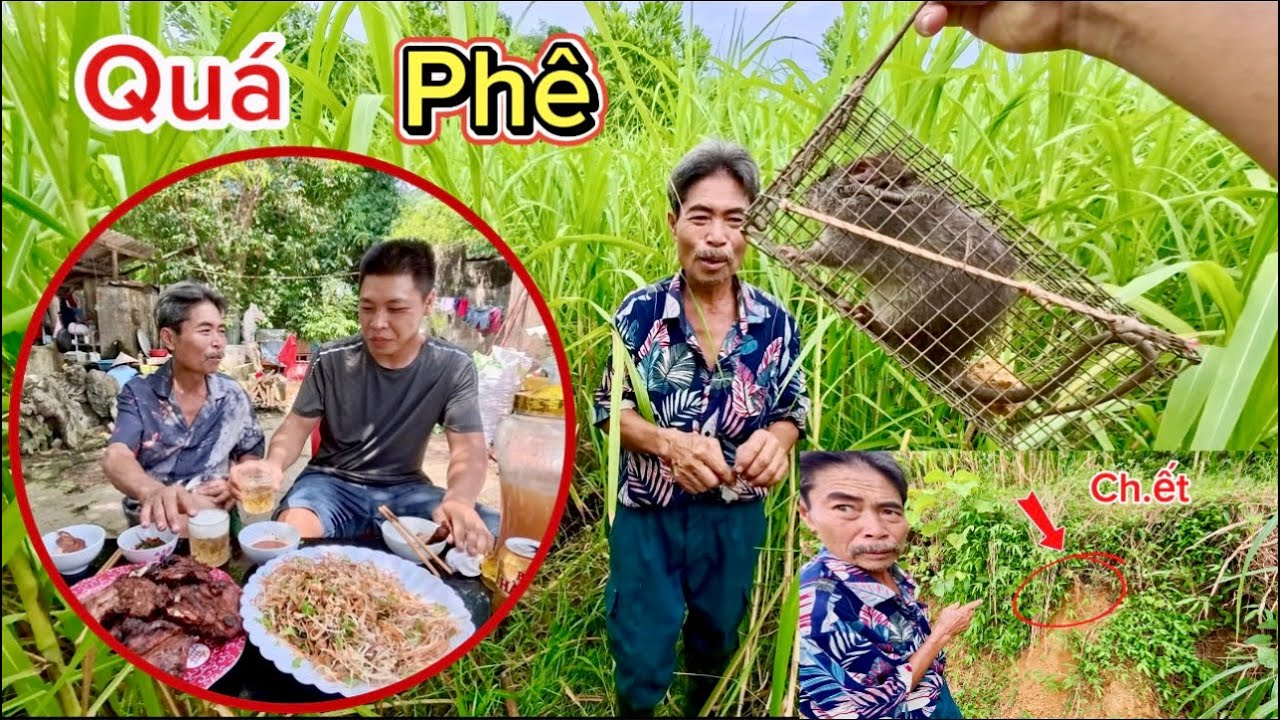 Thử Sức Bẫy Chuột Khu Sườn Đồi Và Cái Kết Ấm Lòng | Chuột Áp Chảo | HUY ANH TV