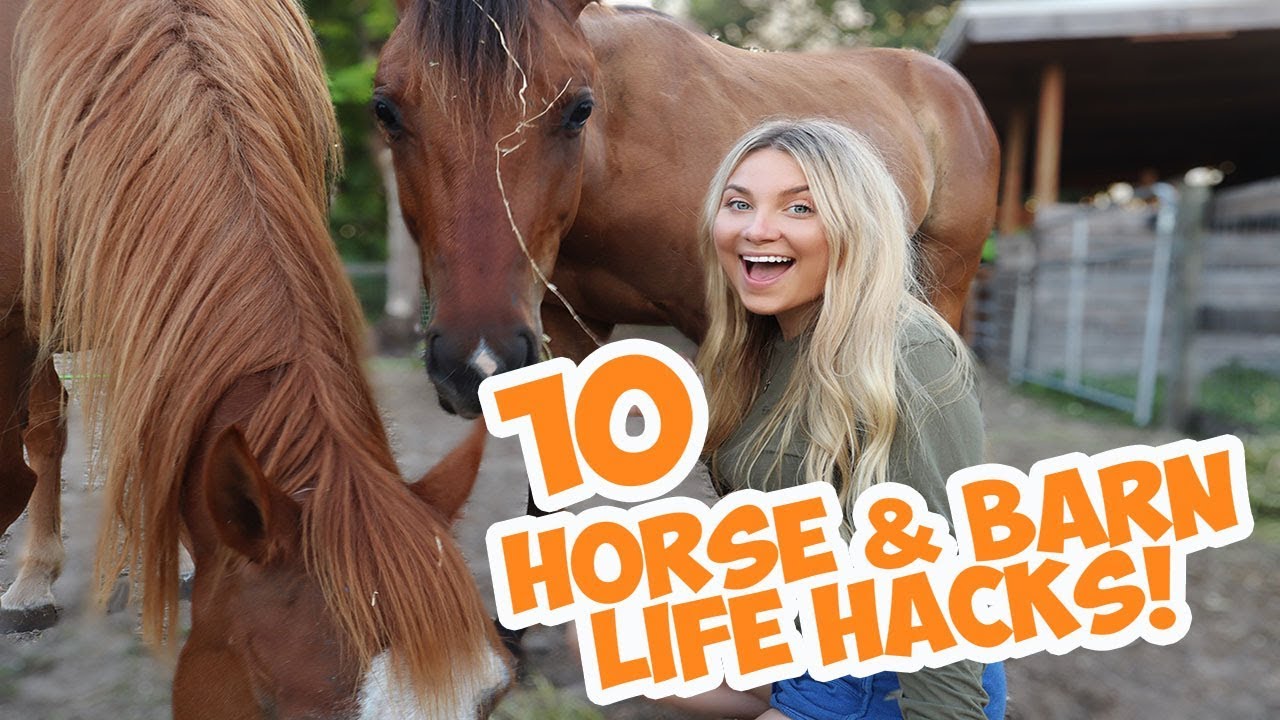 10 DIY Equestrian Life Hacks!