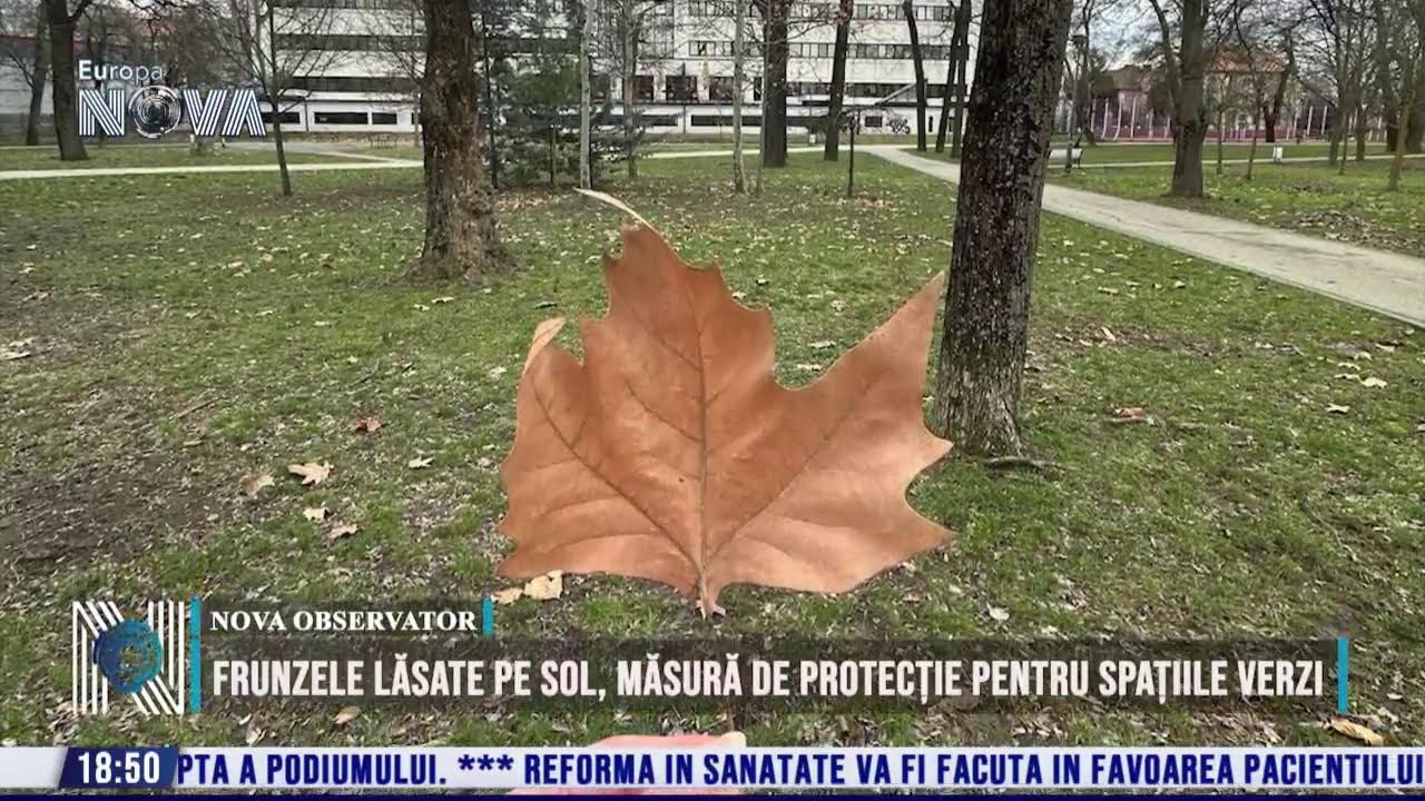 ÎN DIRECT - Știrile orei 18:30 - 12.02.2026 - Tele Europa Nova Timișoara