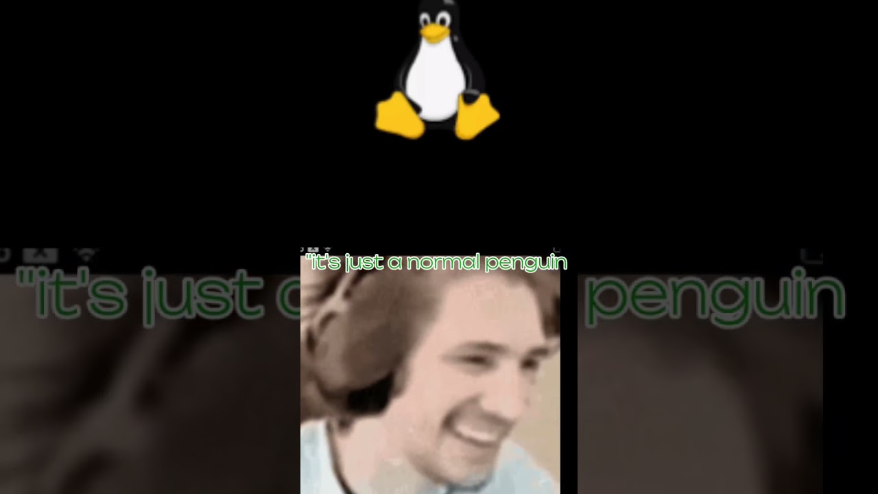 #penguin #error #linux