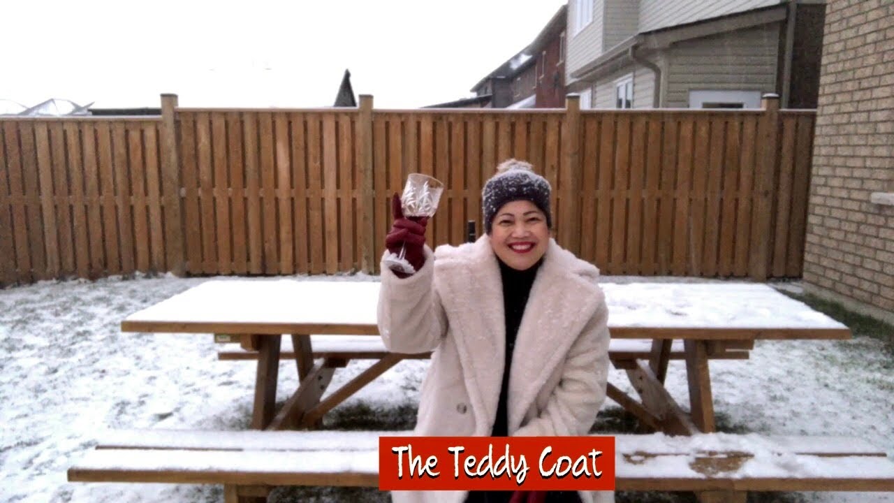 Unboxing The Teddy Coat by Aritzia|Babaton