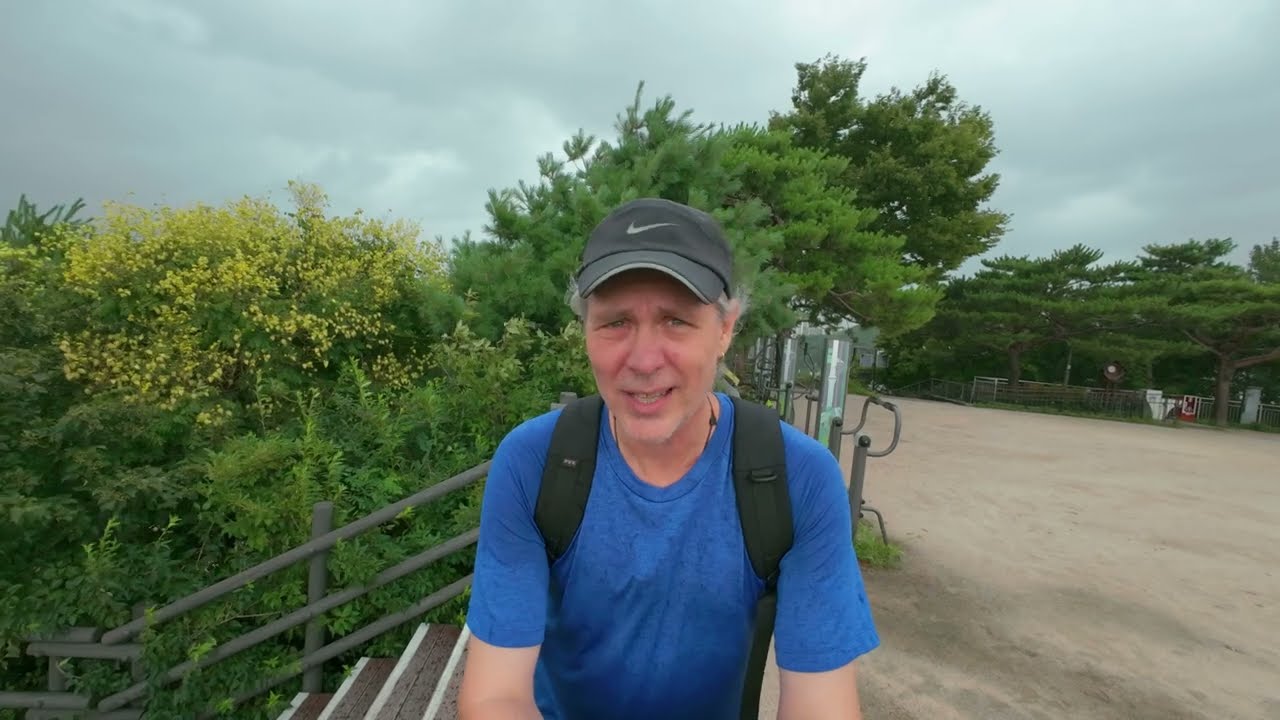 Seoul Vlog: A Nature Walk in the City