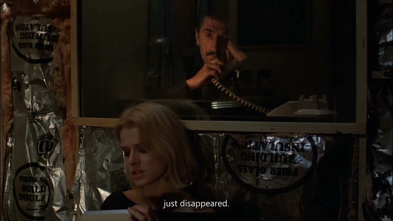 Jane's monologue | Paris, Texas (1984) | Dir. Wim Wenders