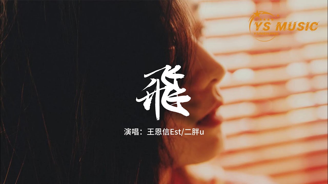 王恩信Est、二胖u - 飛『風浪沒平息 我宣告奔跑的意義，這不是叛逆 我只是淋了一場雨。』【動態歌詞MV】