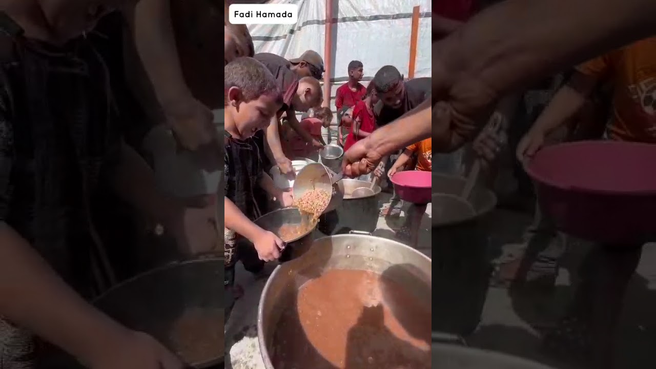 Cooking hot meals for displaced Gazans part 63
