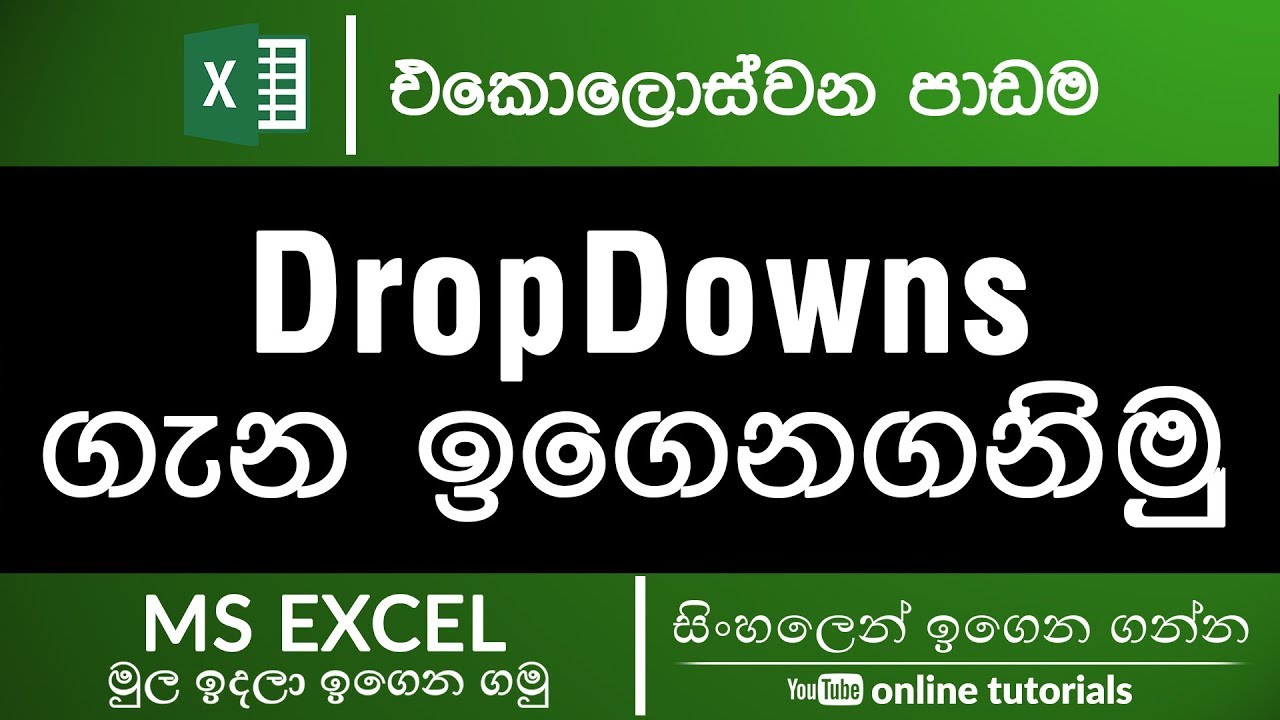 Microsoft Excel Beginner Course (Sinhala) Part 11 - Dropdown Lists