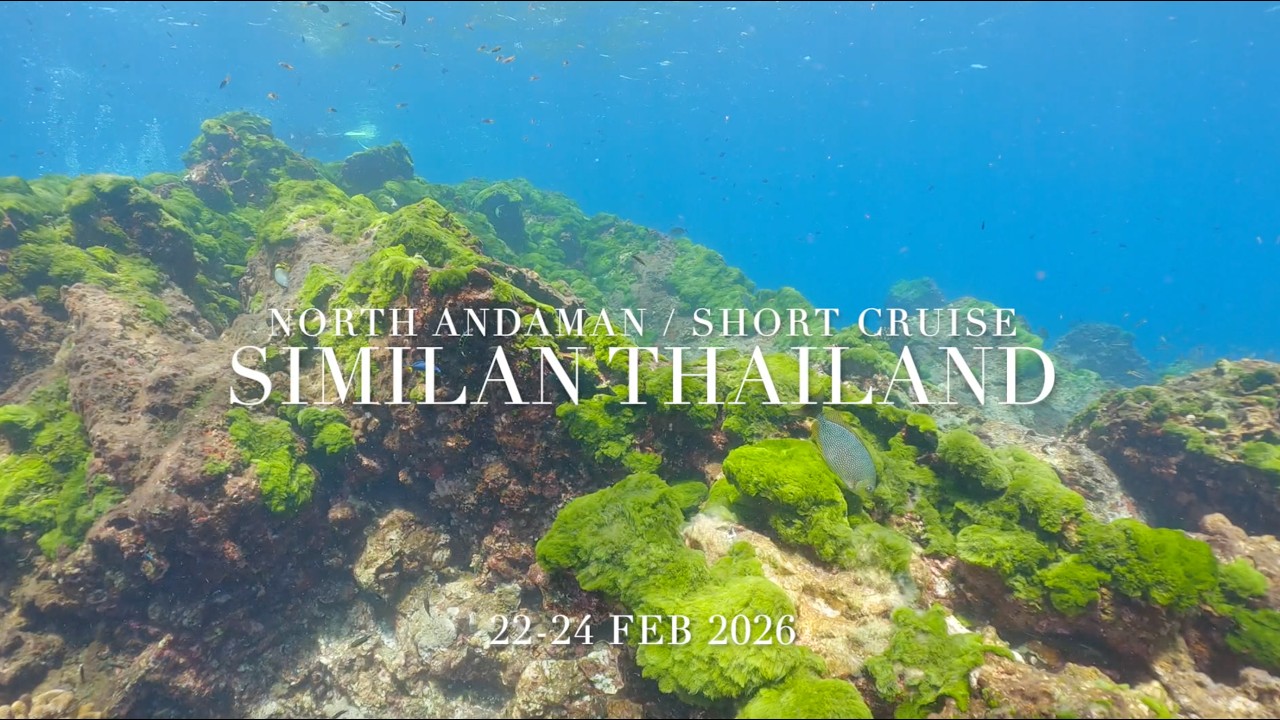 22-24 FEB 2026 | NORTH ANDAMAN SHORT CRUISE | MV KOON9
