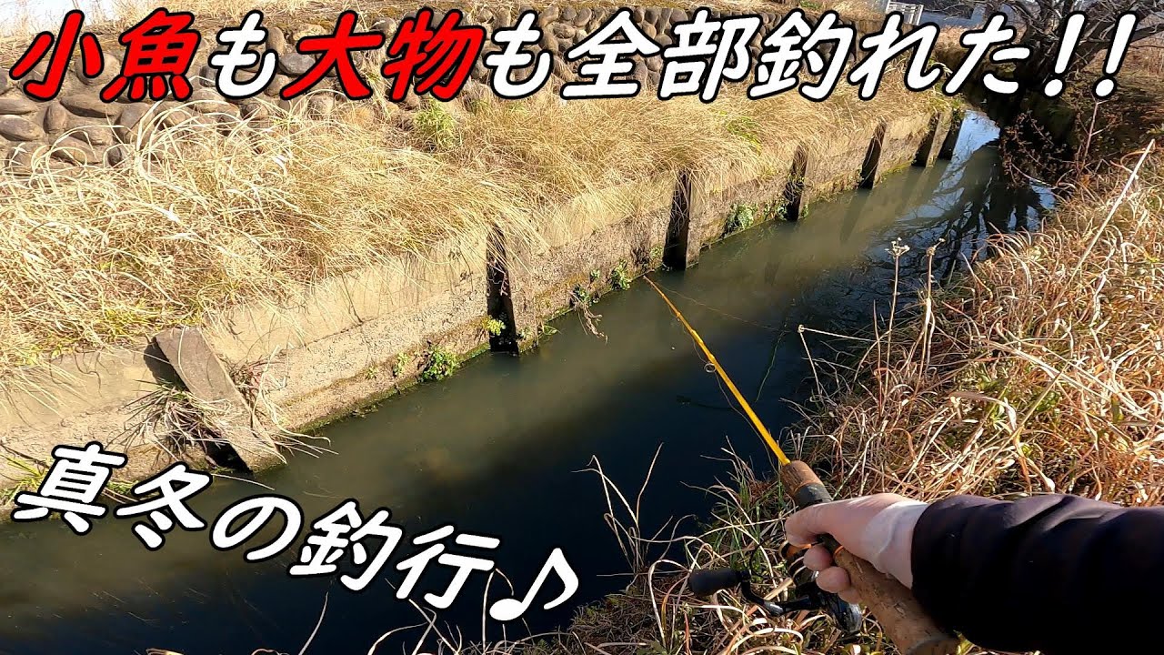 真冬でも小物から大物まで狙ってく！！
