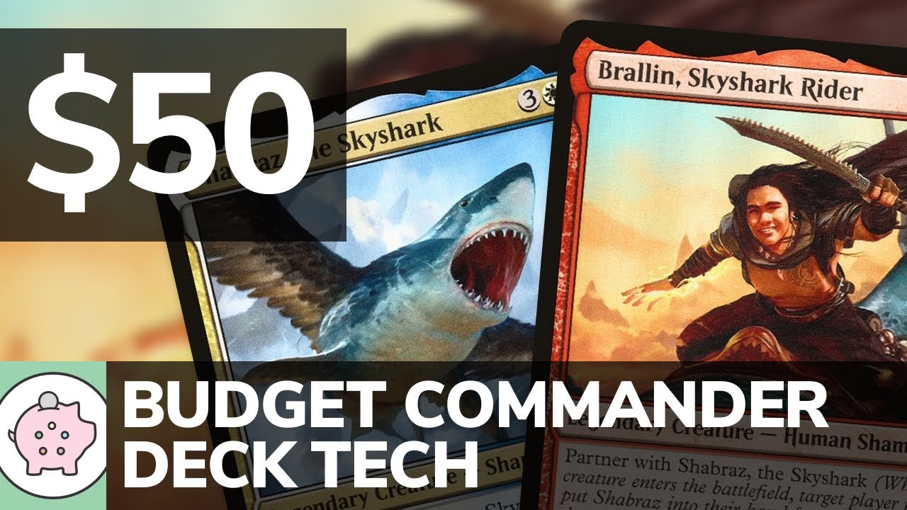 Brallin, Skyshark Rider & Shabraz, the Skyshark | EDH Budget Deck Tech $50 | Wheel | MTG | Commander