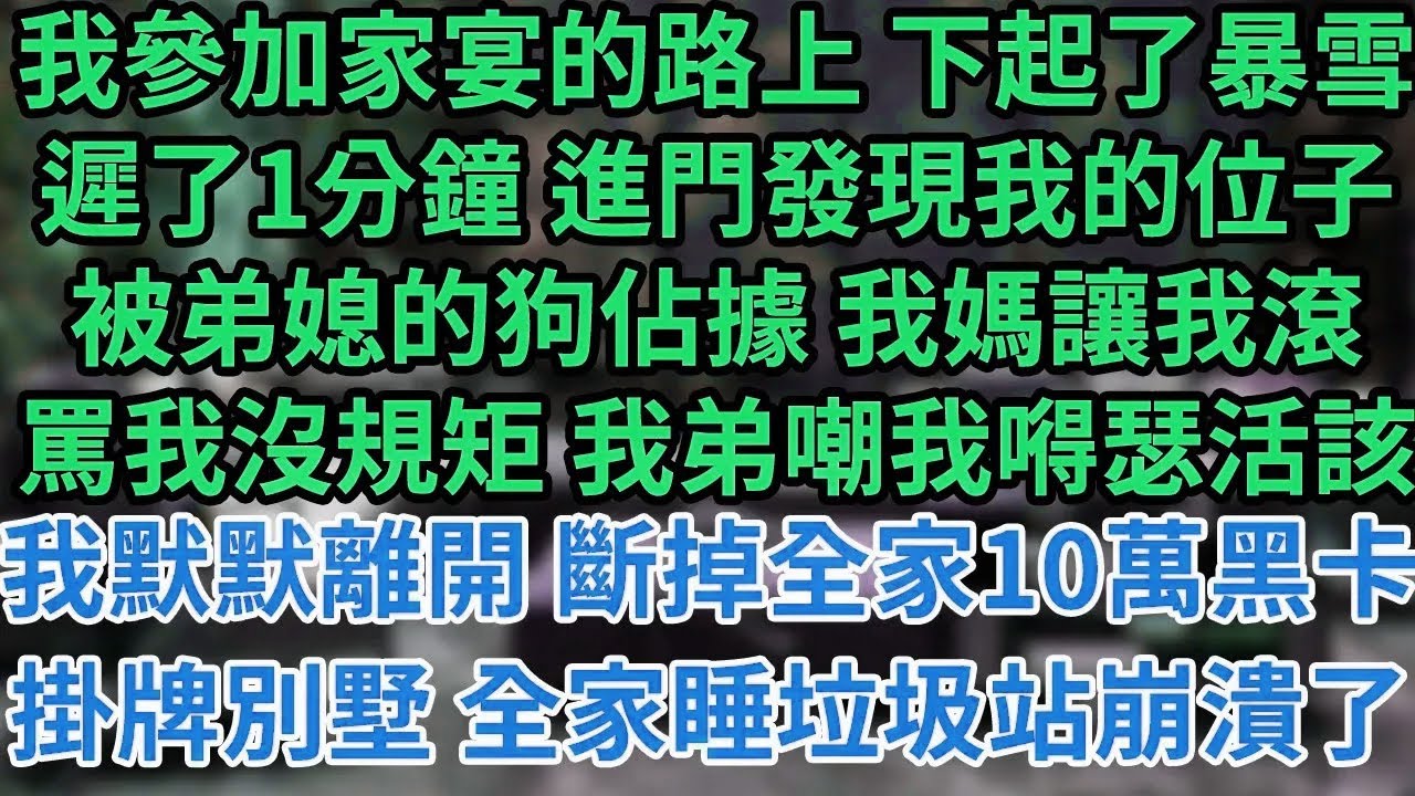 我參加家宴的路上 下起了暴雪遲了1分鐘 進門發現我的位子被弟媳的狗佔據 我媽z讓我滾罵我沒規矩 我弟嘲我嘚瑟活該我默默離開 斷掉全家10萬黑卡掛牌別墅 全家睡垃圾站崩潰了#為人處世#養老#中年