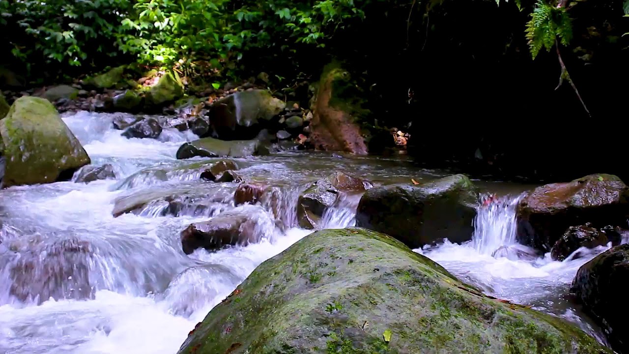 Serene Forest Creek | Deep Sleep Mountain Water Ambience