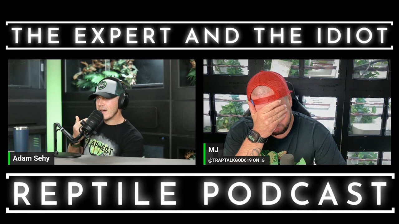 81 - The Return of MJ from Trap Talk Reptile Network - The Expert and The Idiot - A Reptile Podcast