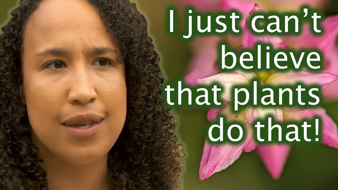 Chemical Conversations: The Secret Language of Flowers - Mikhaela Neequaye