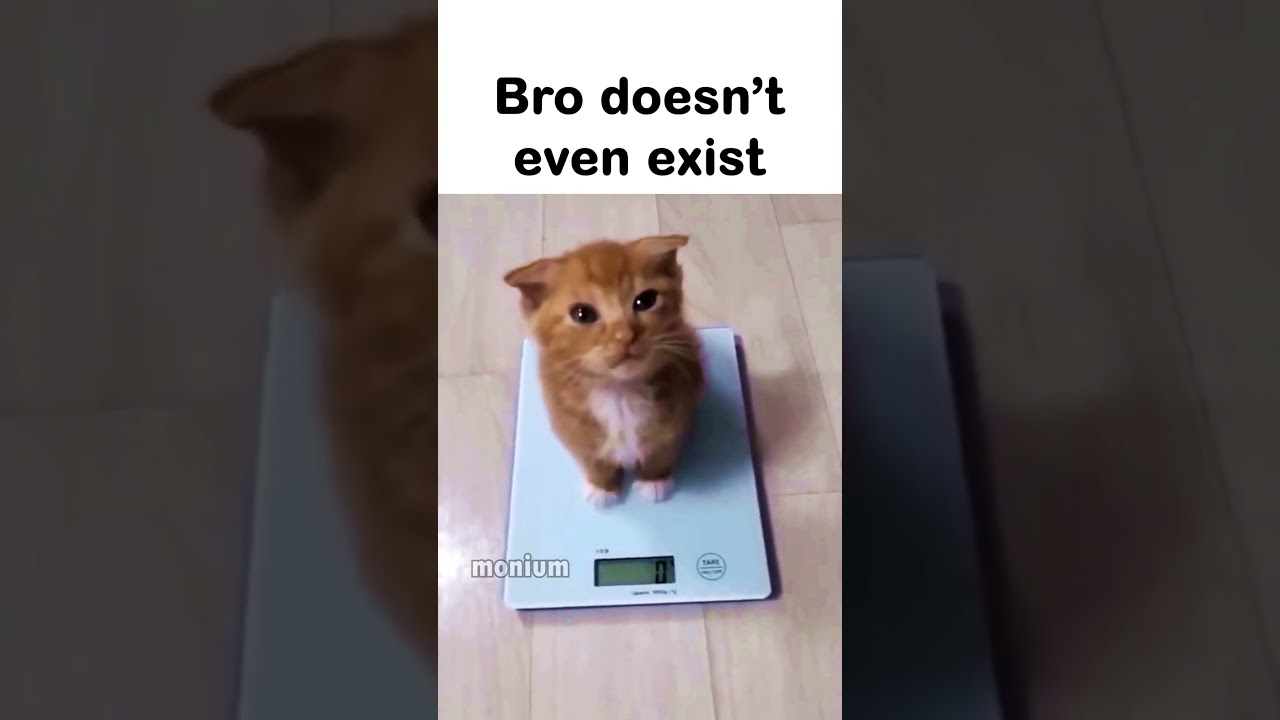 Bro is 0 grams 😭