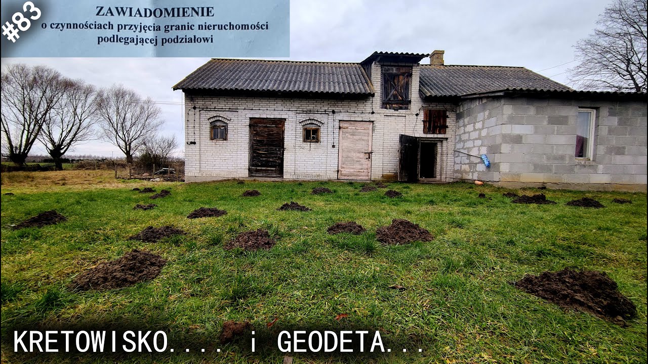 Siedlisko - reanimacja odc.83 