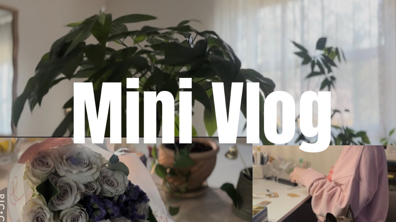 Mini Weekend Vlog