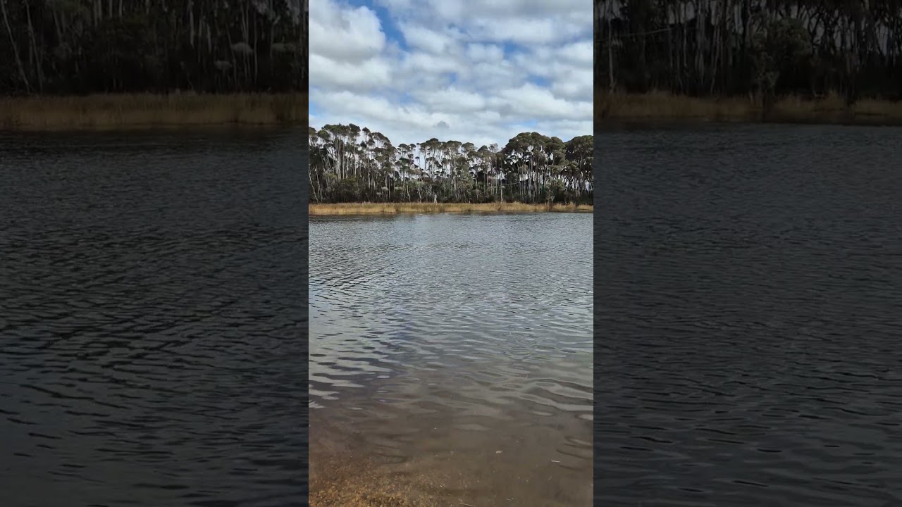 High Tide in Tasmania #tasmania #travel #discovertasmania #tasmaniaadventures