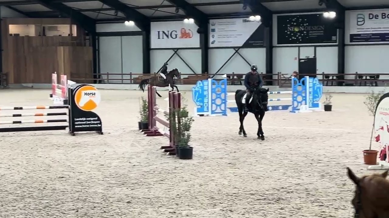 Training stal Vanderhasselt - 22/2/2026 - 110 cm - Melpomene lvp