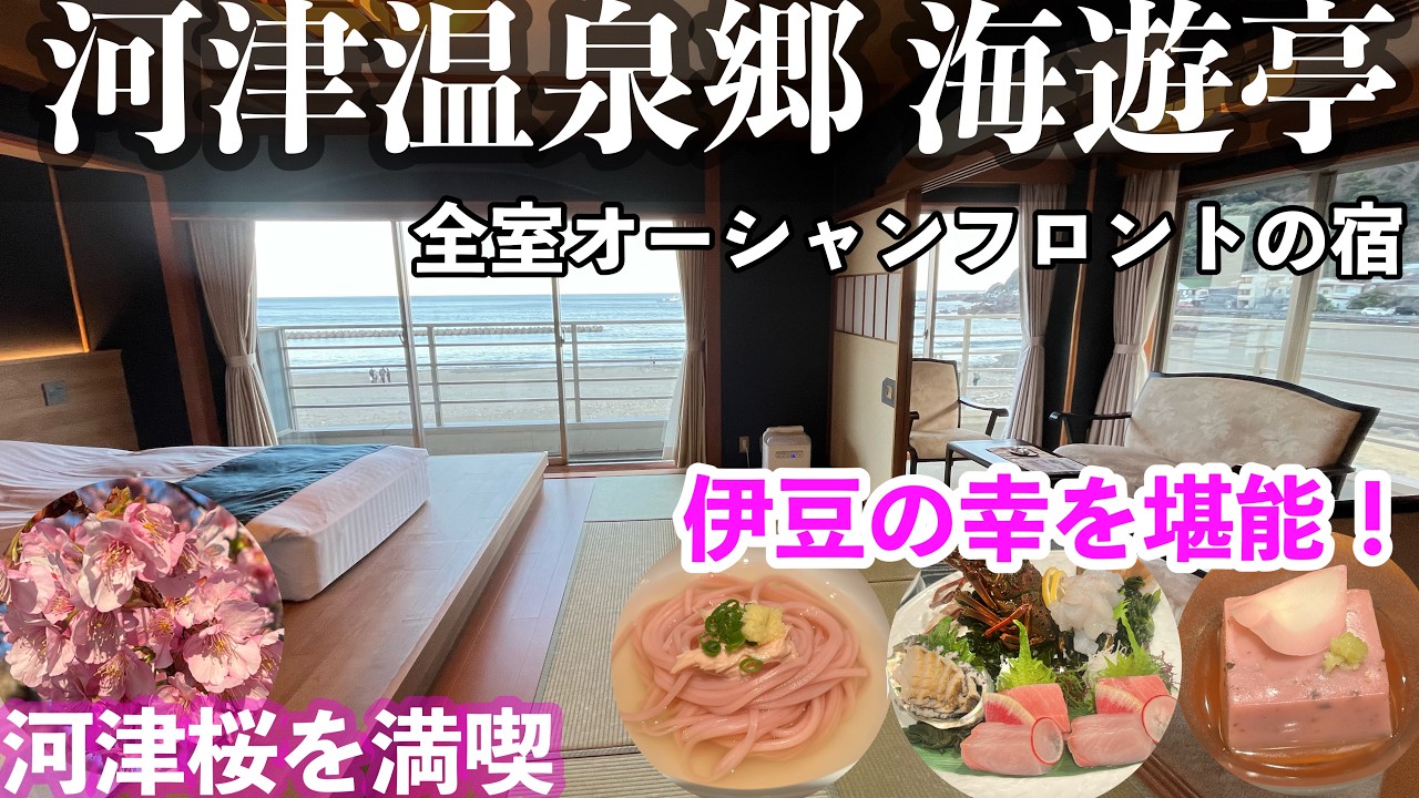 【字幕】大人の静岡 #伊豆旅 🌸早春の #河津桜　③全室オーシャンフロントの宿　河津温泉郷 「海遊亭」から巡る河津桜まつり・おすすめホテル・海が見える旅館・オーシャンビュー・夜桜・朝桜・豪華夕食・朝食