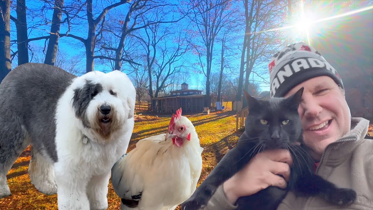 A Busy Day on the Farm - VLOG