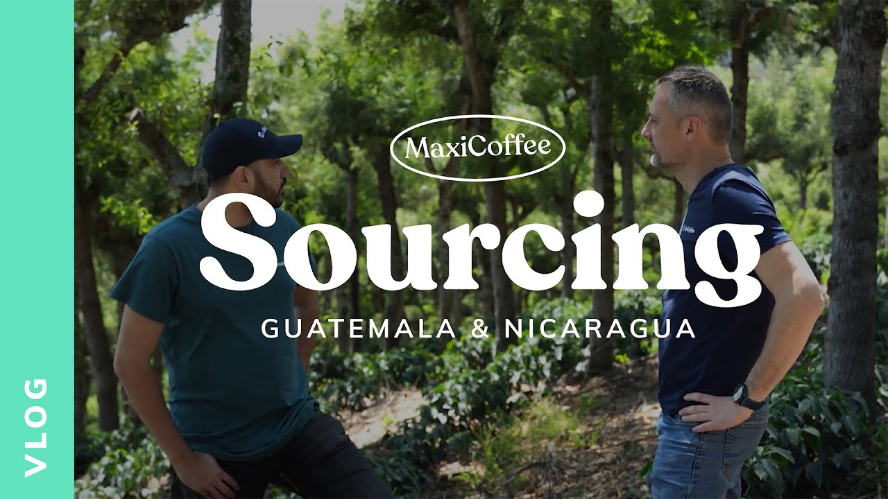 VLOG⎟ Entre montagnes et caféiers : immersion dans le quotidien des producteurs de café