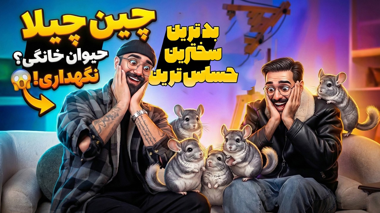 اشتباهات کشنده در نگهداری چین‌چیلا! قبل از خرید حتما ببین ⚠️🐭