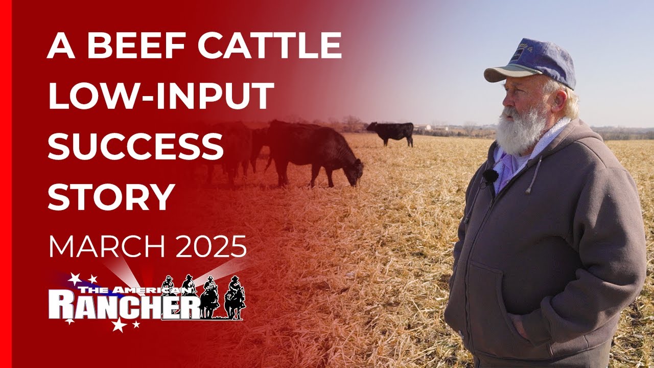 Ohlde Cattle Company   The American Rancher   03 31 25