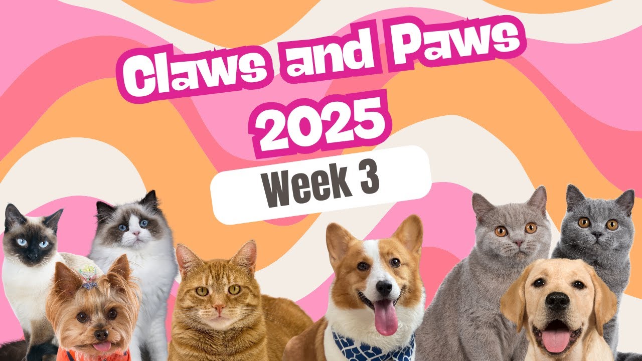 ClawsandPaws 2025 - Week 3 and Beyond the Canvas Tag Questions