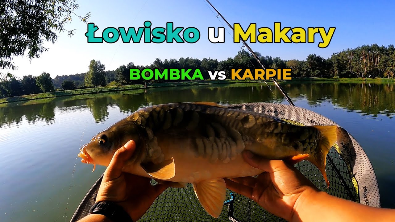 Bombka vs Karpie w upalny dzień | A GRZAŁO! 