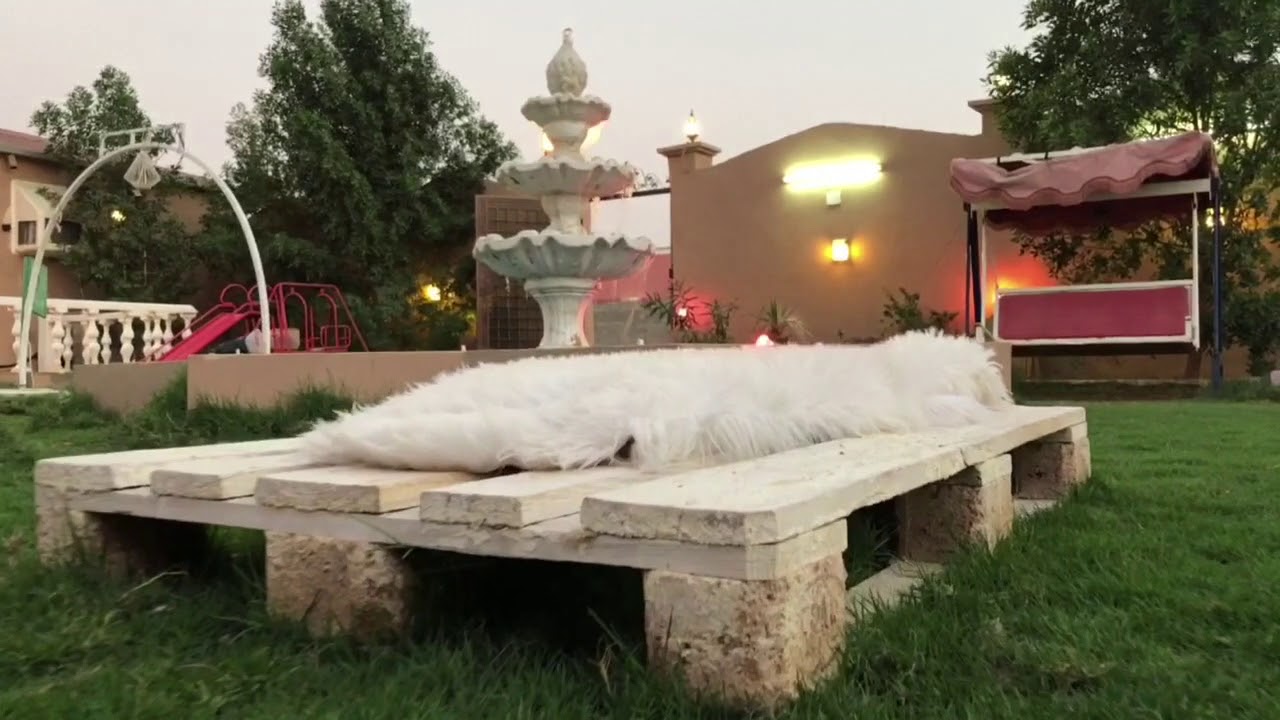 استراحة الورد ( مكة / النوارية ).