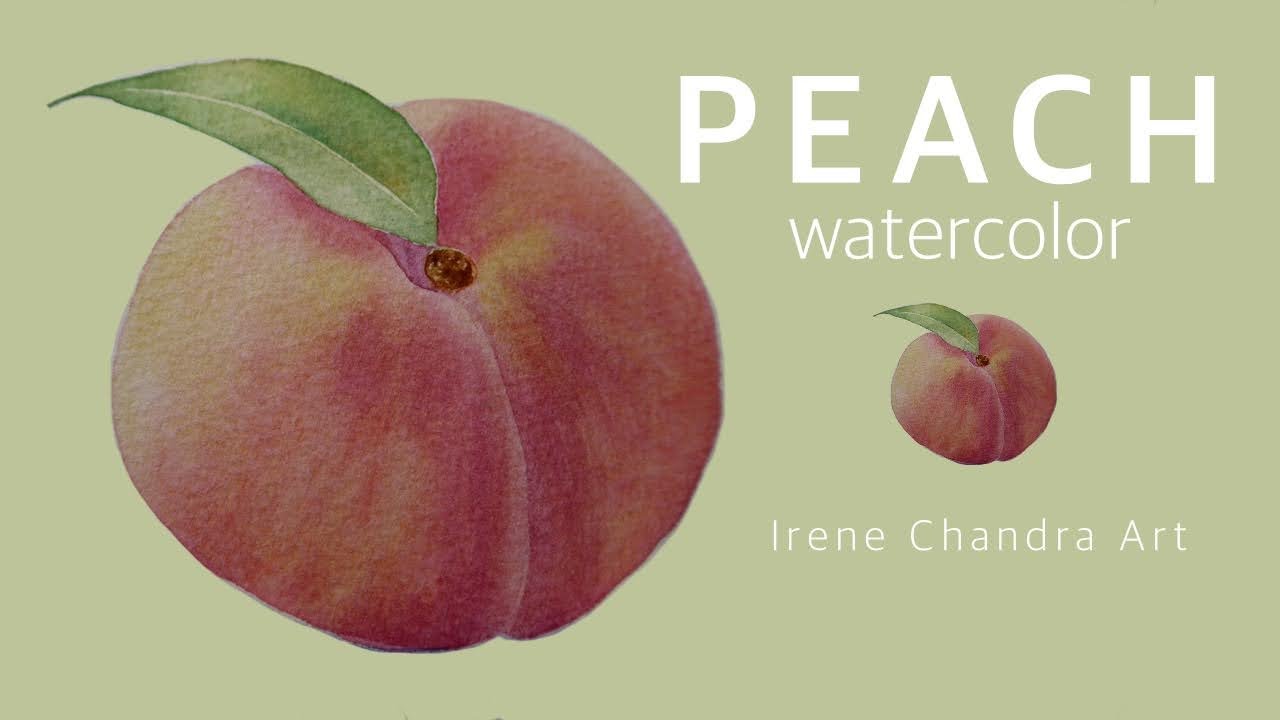 ENG SUB| How to Paint Peach | Watercolor for Beginners | Step by Step |Tutorial | Irene Chandra Art