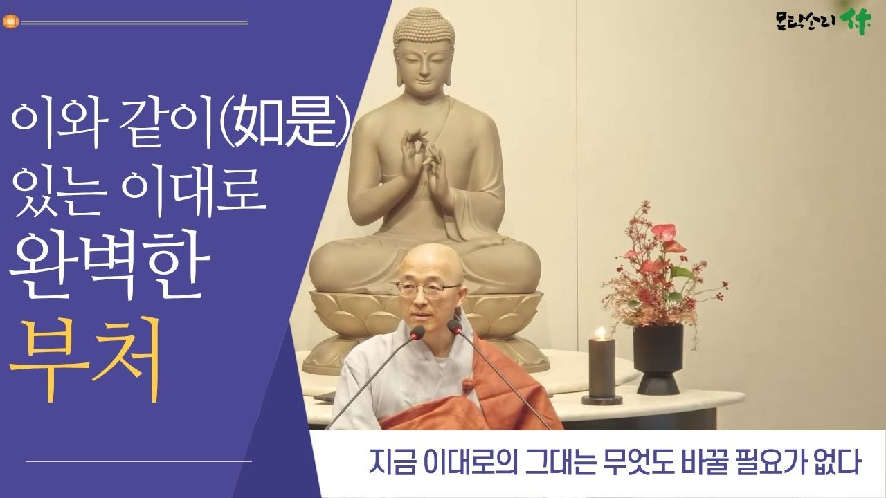 서울 목탁소리휴 수요법회 실시간 법문