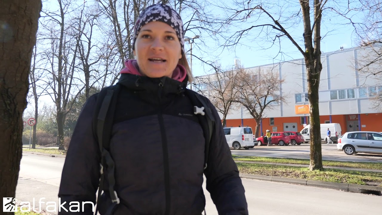 REAKTIVNOST PRI PSIH 5/5 | Trening z reaktivnim psom - ALFAKAN vzgoja - Pasja šola
