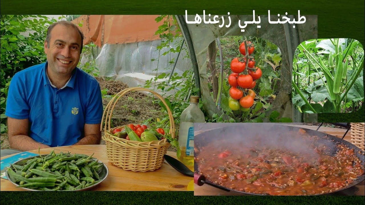 ازرع قليلا من الباميه واحصل على هذه الكميه.المانيا. Wir haben gekocht, was wir gesät haben.