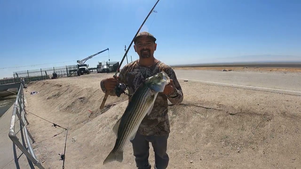 Striper Fishing At The California Aqueduct - How Many Hook-Ups Till You Catch A Big One?
