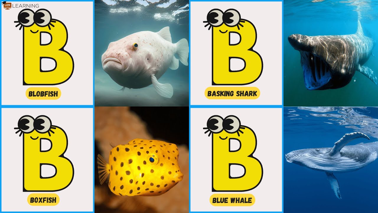 ABC 100+ Underwater Animal Song 🌊 | Fun & Educational Sea Life Alphabet for Kids | #abcd #kids
