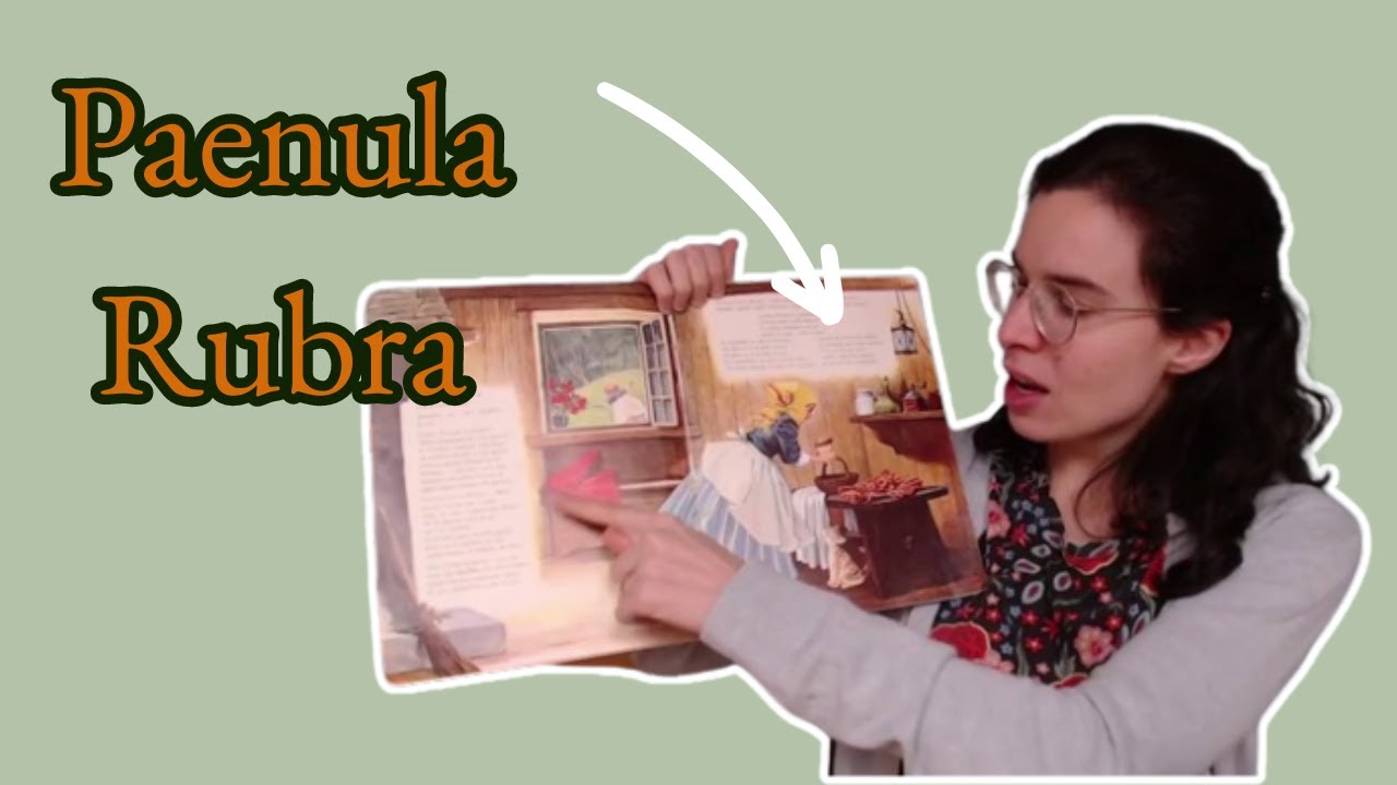 Paenula Rubra || Easy Latin Story