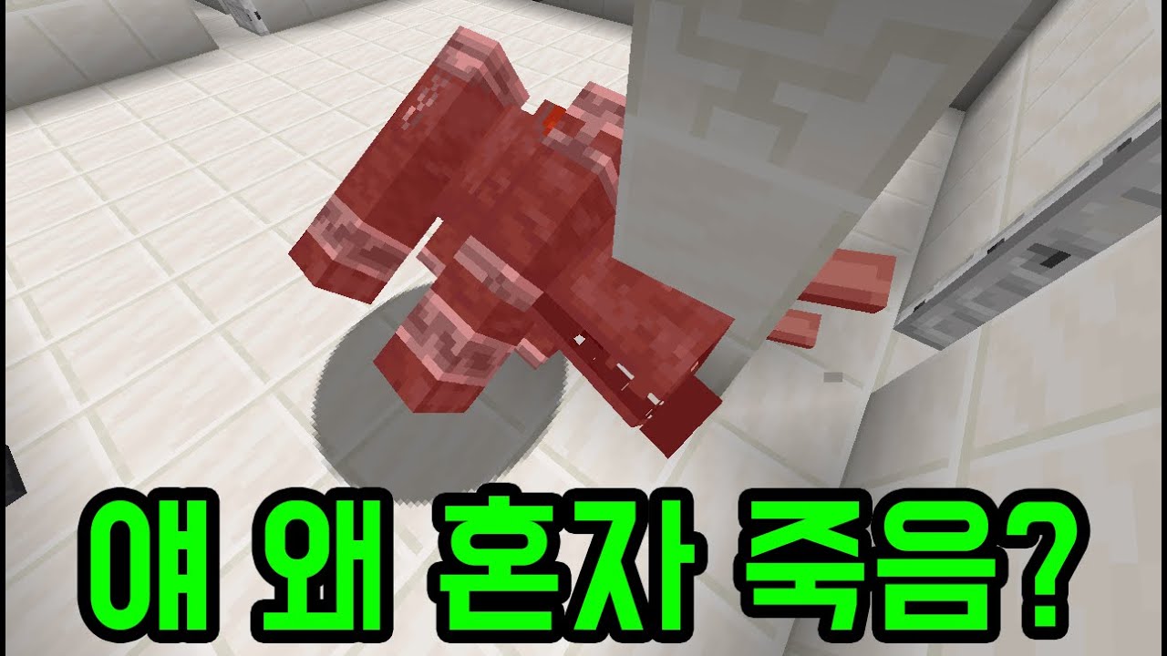 내 행동을 기억하는 맵이라고? ㄷㄷㄷ(마인크래프트)