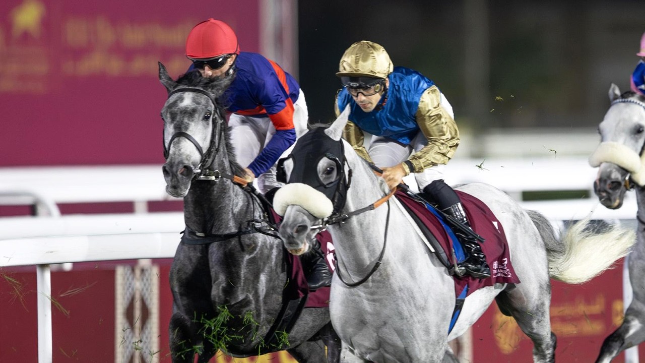 RM 50  Al Rayyan Race 7 -  H.H. The Amir Sword Festival - Day 3