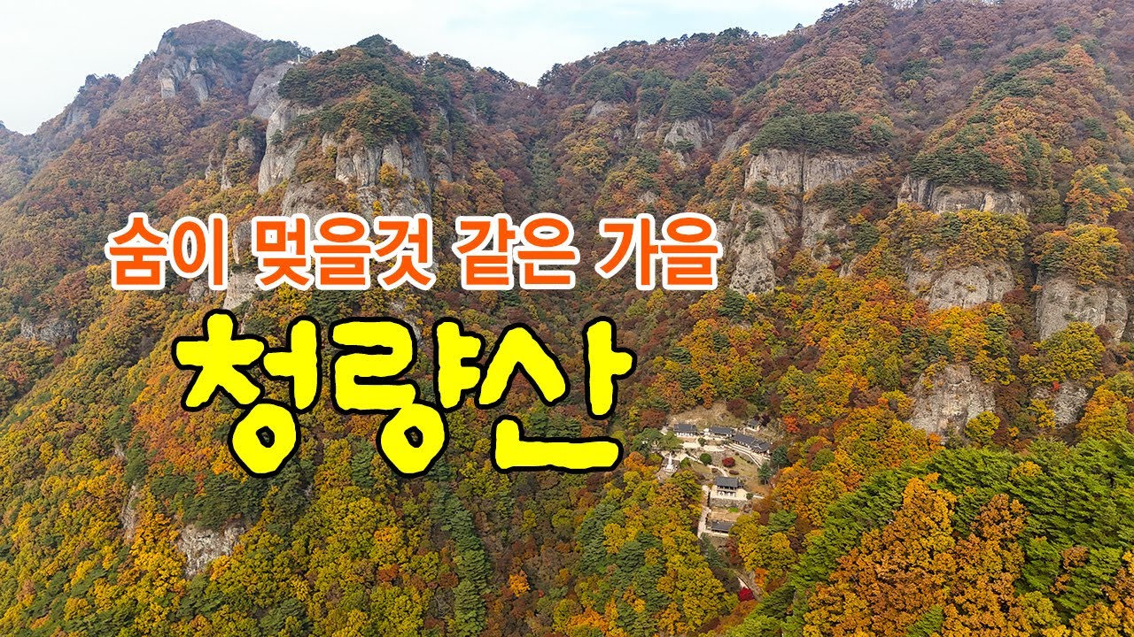 이번 가을 최고의 풍경 봉화 청량산과 청량사 /그리고 숨겨진곳에서 만나는 전혀 다른 모습의 청량산 까지  감상하세요 #청량산가을 #봉화청량산단풍 #청량산비경