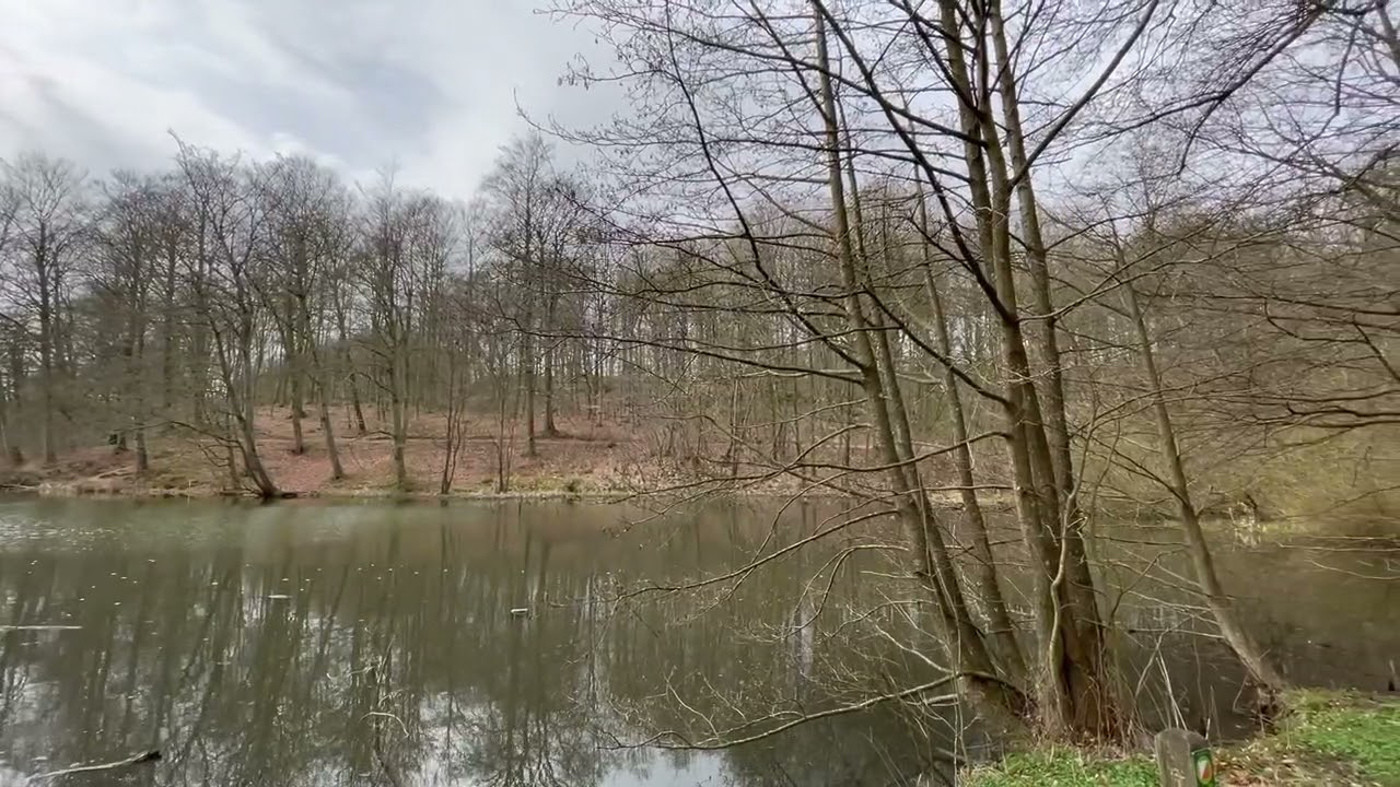 Touring in Marielundsskov in Kolding Denmark part 2