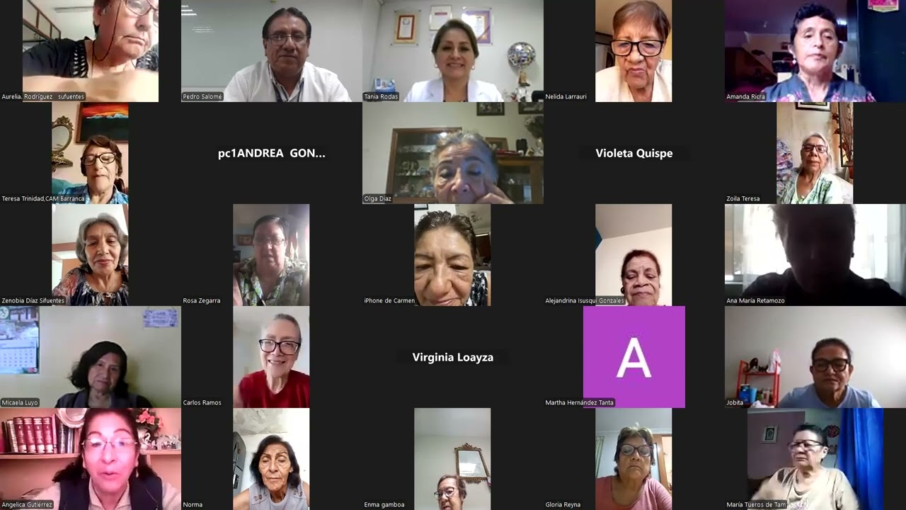 Presentación del Programa Educativo Universidad del Adulto Mayor 2025