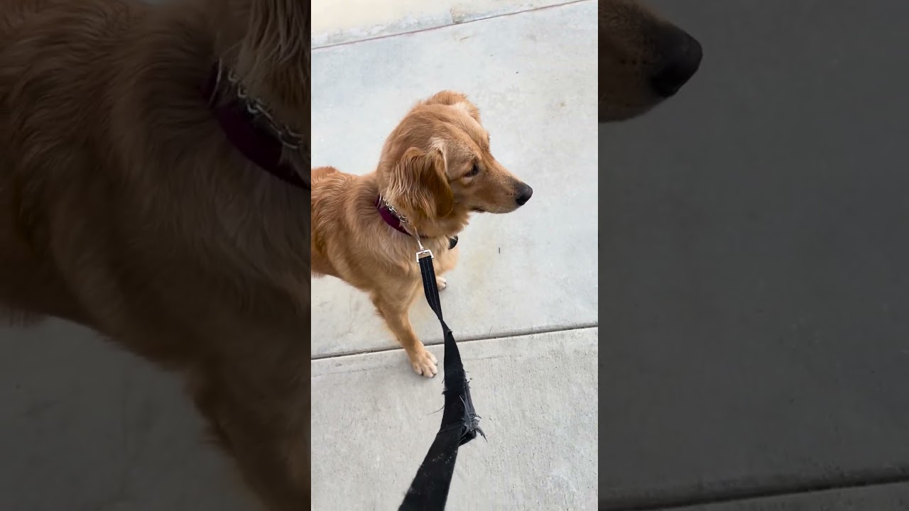 Sadie TRUNNER 21