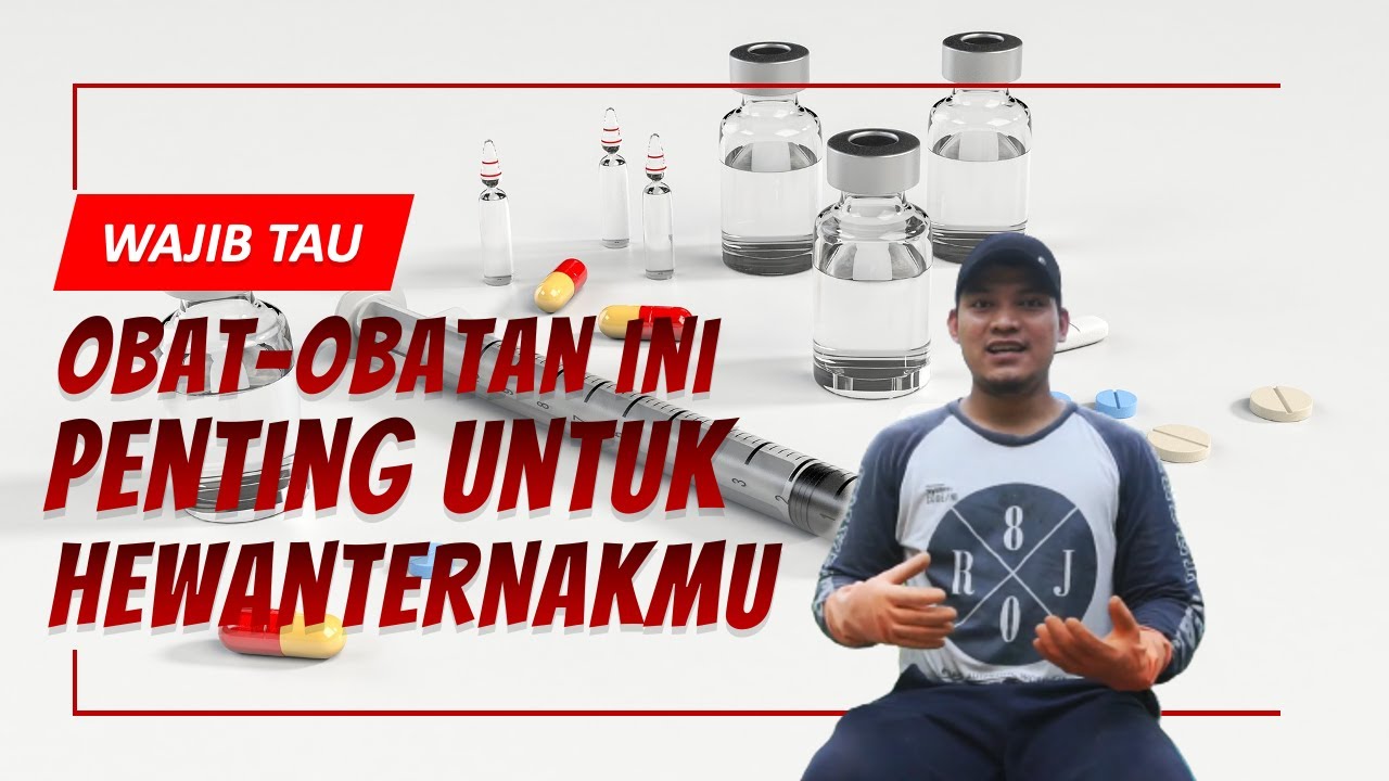 Obat Untuk Treatmen Ternak Kambing dan Domba, Yang Wajib Ada Dikandang Ternakmu