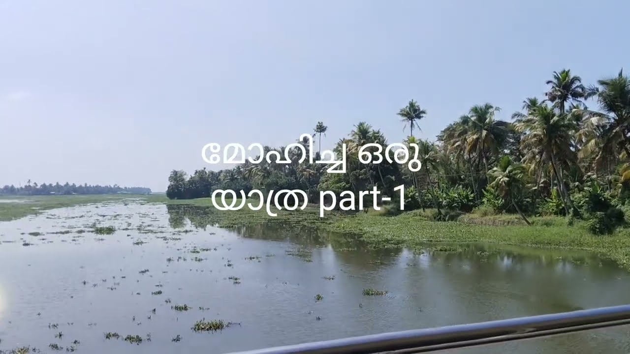 ഒരു വേമ്പനാട്ട് കായൽ യാത്ര#travel vlog #boat voyage 