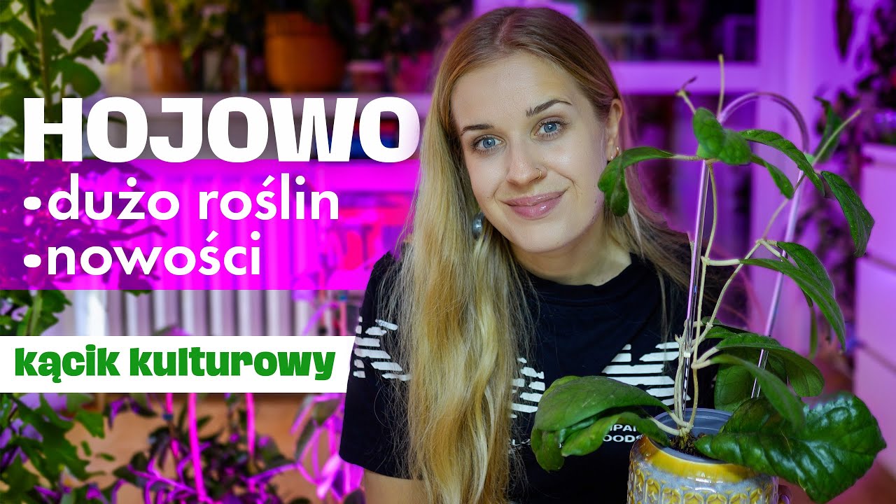 hoje w roli głównej • unboxing nowości • kącik kulturowy 
